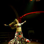 Document Name_3_266.JPG