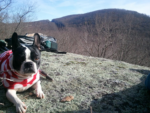 2012-02-20 09.29.03.jpg