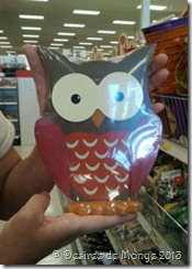 owl-before
