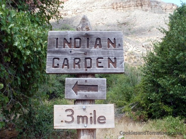 [GrandCanyon-17%255B3%255D.jpg]
