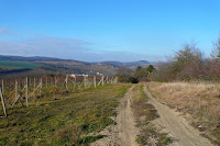 P1090734.JPG
