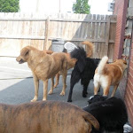 DSCN4932.jpg