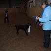 jan-feb 2010 101.JPG