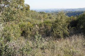 DSC06412.JPG