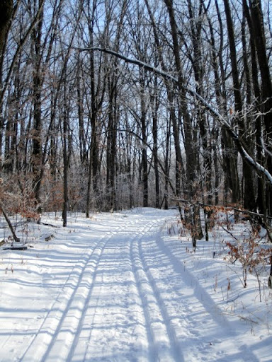 Bullhead lake trail
