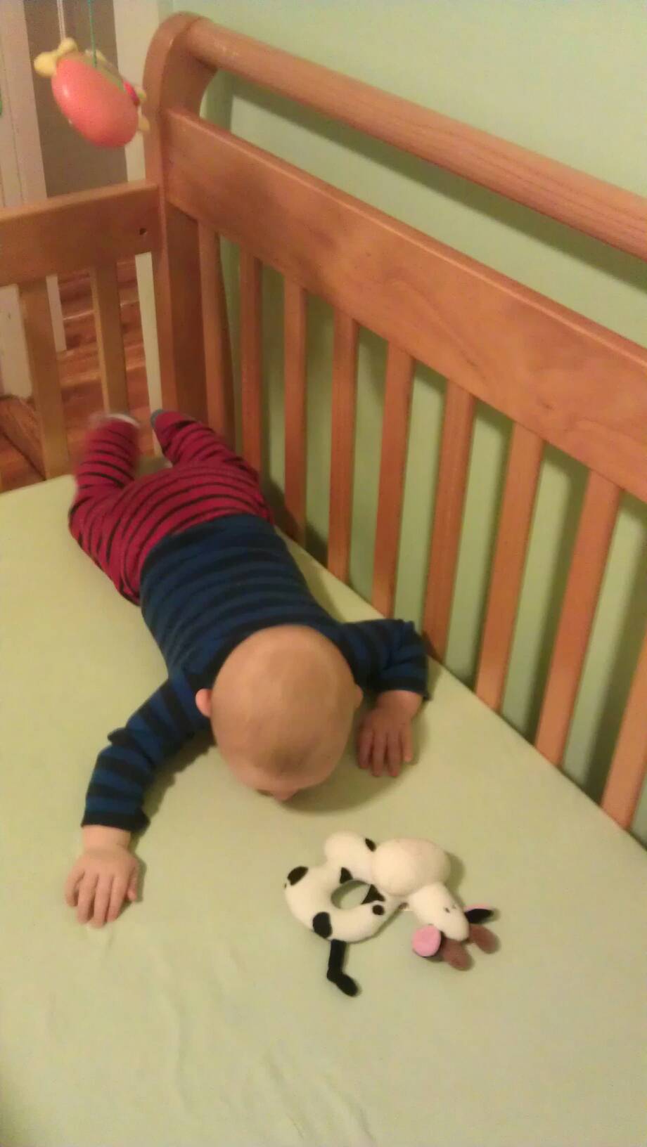 Charlie rolled from his back to his stomach for the first time this morning. Andy and I clapped.