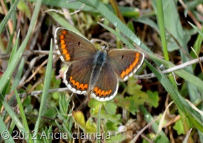 DSC_0108 DSC_0108
