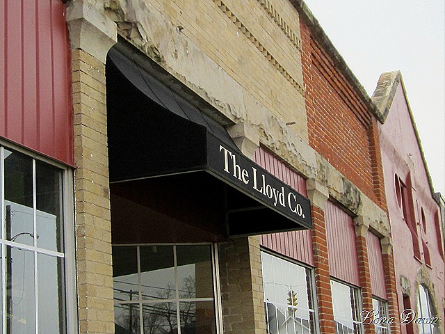 [The_Lloyd_Company8.jpg]