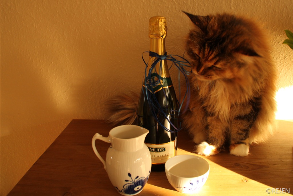 [IMG_0010%255B4%255D.jpg]