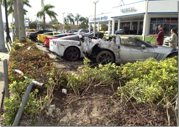 Motorista bebado (4)