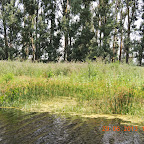 DSCN8231.JPG