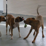 DSCN2313.jpg