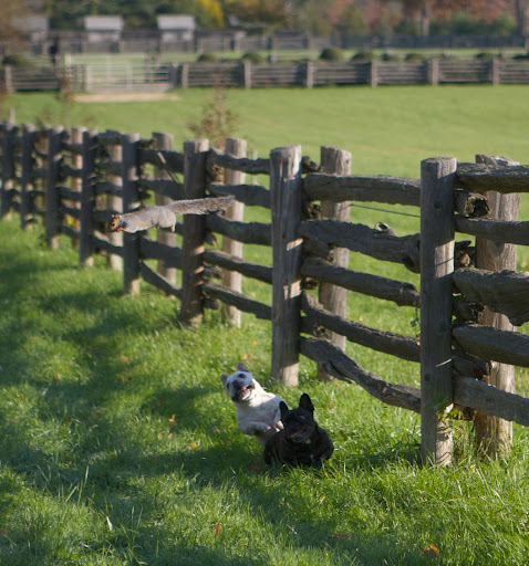 Now he's leaping!