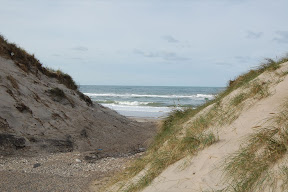 DSC_0287.JPG