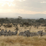 Africa7.JPG