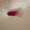 DSCN7969.JPG
