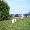 Kreismeisterschaft 09 + Fährtenarbeit 019.jpg