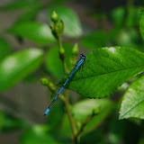 IMGP1040.JPG