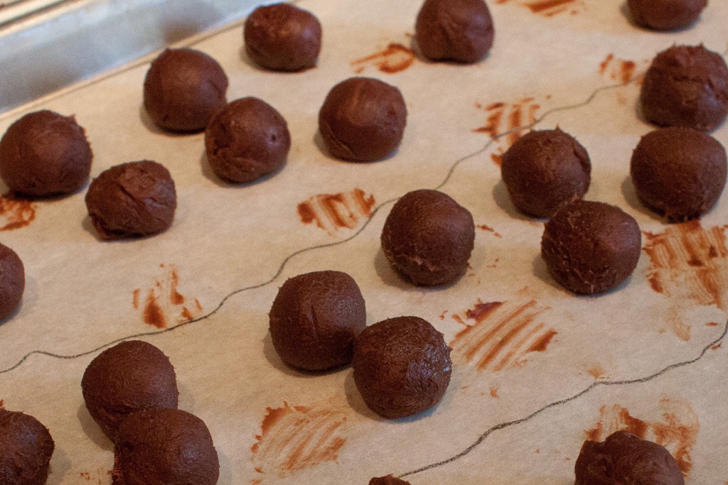 [Truffles-6%255B3%255D.jpg]