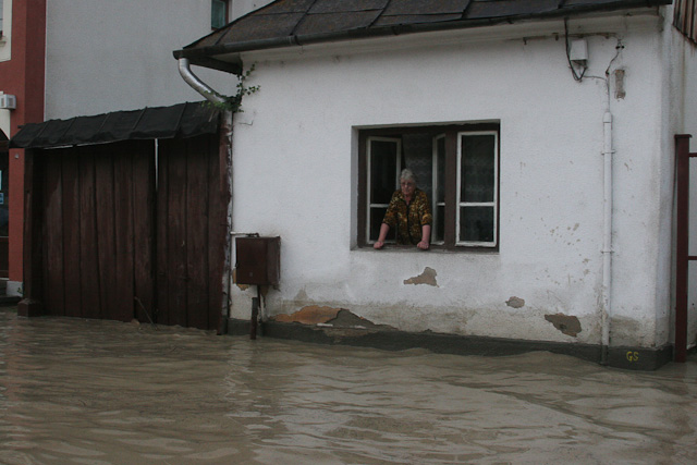 arviz2005_01.jpg