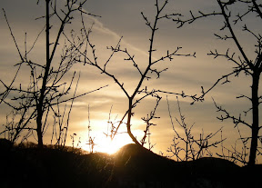 Sonce se prebija čez Javornik. / The sun is breaking through Javornik.