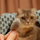 furminator