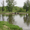dsc06634.jpg