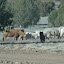 DSC_8188.JPG