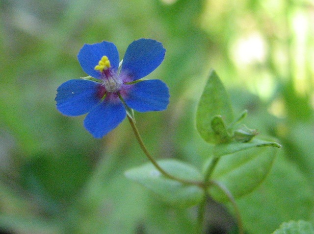 [20110704%2520BHV%2520SV%2520003%255B3%255D.jpg]