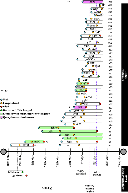 Timeline-H7N9-WEEKS