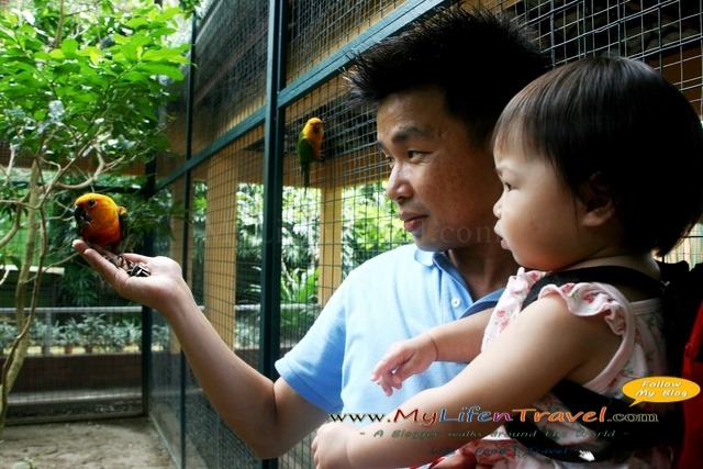 Langkawi Wildlife Park Langkawi Wildlife Park