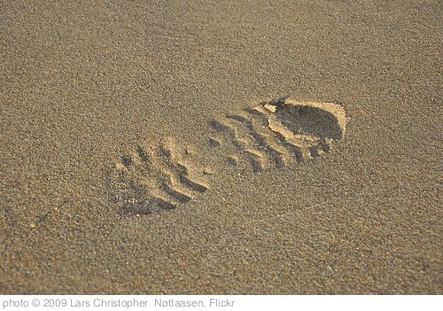 'Sand Footprint Texture' photo (c) 2009, Lars Christopher  Nøttaasen - license: http://creativecommons.org/licenses/by/2.0/