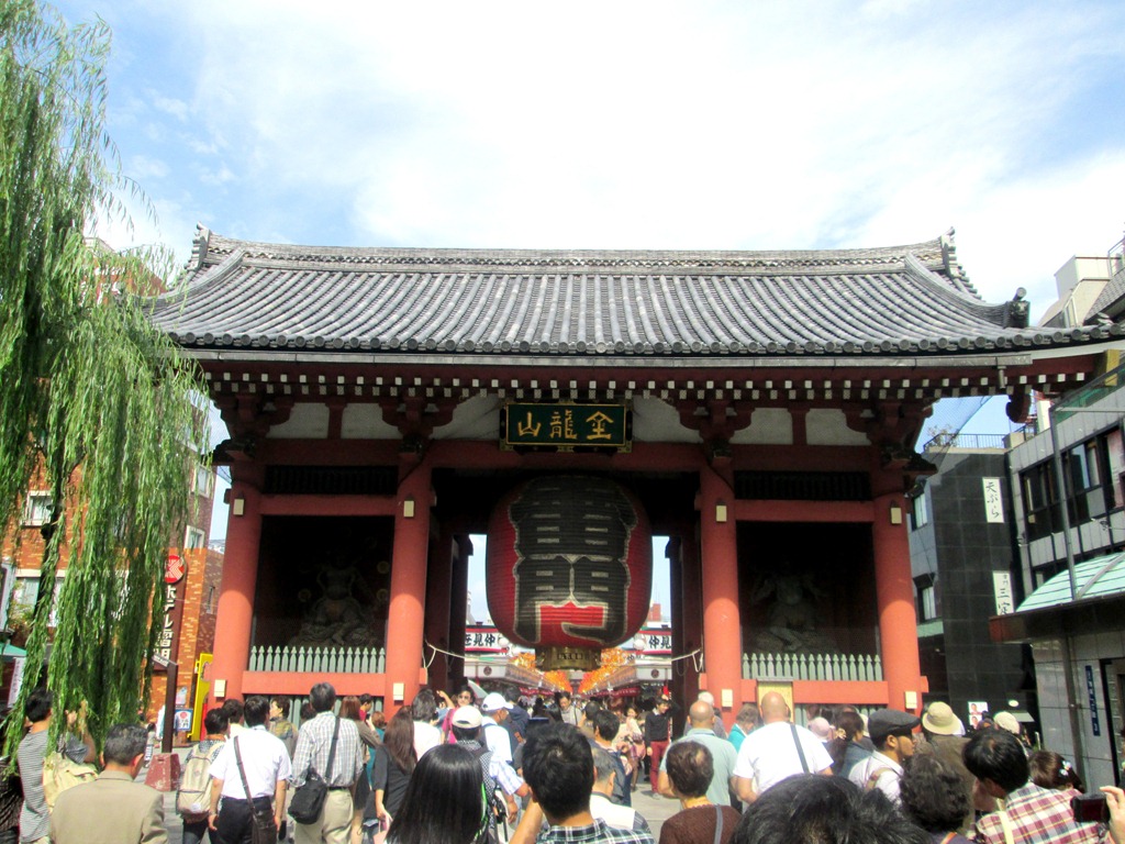 [IMG_19283.jpg]