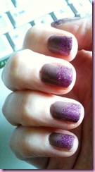 notd