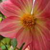 DSCF0651.JPG