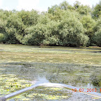 DSCN3021.JPG