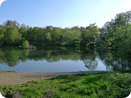 hampstead-heath hampstead-heath