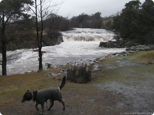 high force 004