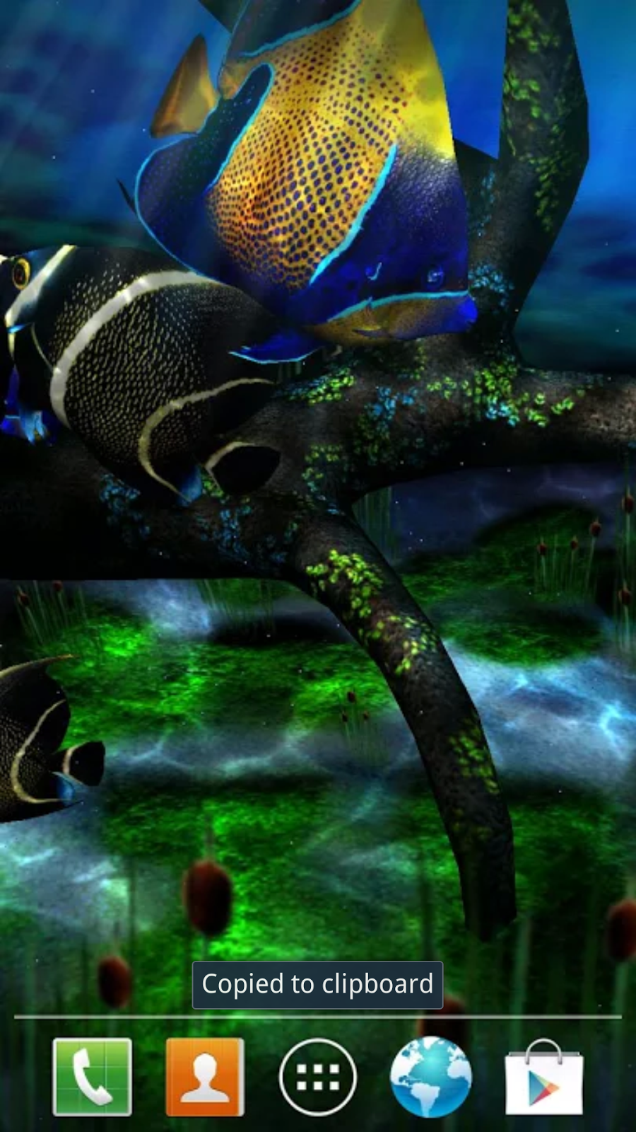 android my 3d fish - трехмерные рыбки