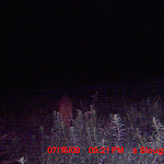 MDGC0251.JPG