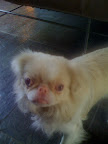 Pinky admits, 