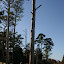 Tall Pines Harbor Campground in Sanford, Virginia