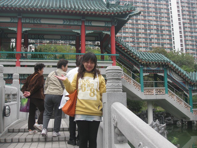 [imgi_0098223.jpg]