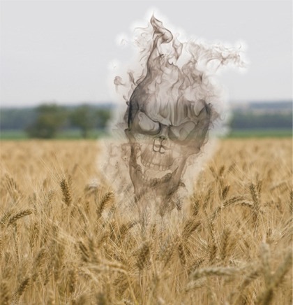[wheat-field-emitting-smoky-skull%255B3%255D.jpg]