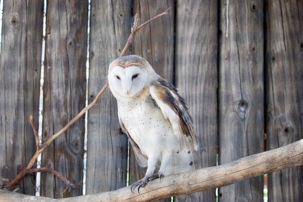 [20130625-IMG_26929.jpg]