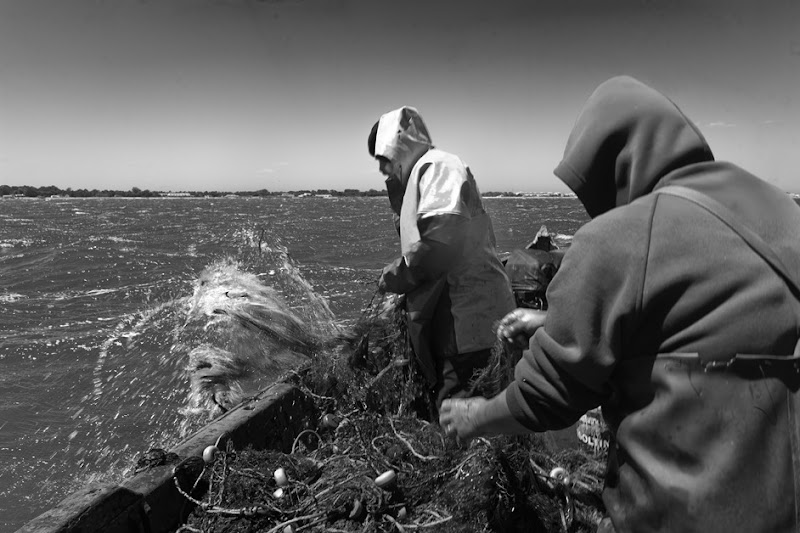 AMC_212bw6