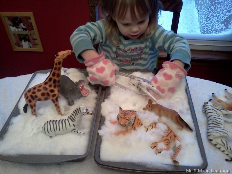 [IMG_20110201_172316%255B6%255D.jpg]
