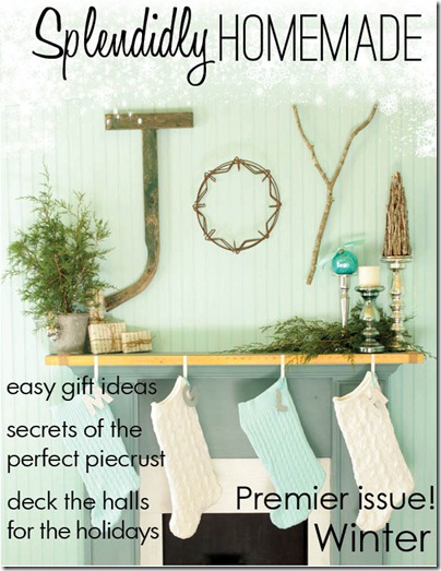 winterl 2011 cover