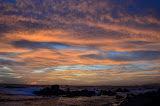 DSC_0477.JPG