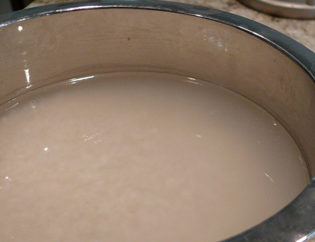 [P11002265.jpg]